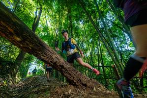 BIB: 
                            <button type="button" onclick="openModal(19056570)" class="btn btn-primary btn-sm float-right btn-popup" data-toggle="modal" data-target=".modal-high-quality">
                        <i class="fas fa-shopping-cart"></i> Add to Cart
                    </button>
                                            <button type="button" onclick="isThisMe(19056570, true)" class="btn btn-success btn-sm float-right btn-popup btn-isme hidden" data-toggle="tooltip" data-placement="bottom" title="นี่คือรูปของคุณใช่ไหม คลิกที่นี่เพื่อเอาเข้าอัลบั้ม">
                        <i class="fas fa-plus"></i> Add to album
                    </button>
                    <button type="button" onclick="isThisMe(19056570, false)" class="btn btn-warning btn-sm float-right btn-popup btn-isnotme hidden">
                        <i class="fas fa-ban"></i> Remove from album
                    </button>