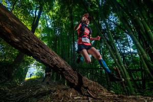 BIB: 
                            <button type="button" onclick="openModal(18990331)" class="btn btn-primary btn-sm float-right btn-popup" data-toggle="modal" data-target=".modal-high-quality">
                        <i class="fas fa-shopping-cart"></i> Add to Cart
                    </button>
                                            <button type="button" onclick="isThisMe(18990331, true)" class="btn btn-success btn-sm float-right btn-popup btn-isme hidden" data-toggle="tooltip" data-placement="bottom" title="นี่คือรูปของคุณใช่ไหม คลิกที่นี่เพื่อเอาเข้าอัลบั้ม">
                        <i class="fas fa-plus"></i> Add to album
                    </button>
                    <button type="button" onclick="isThisMe(18990331, false)" class="btn btn-warning btn-sm float-right btn-popup btn-isnotme hidden">
                        <i class="fas fa-ban"></i> Remove from album
                    </button>