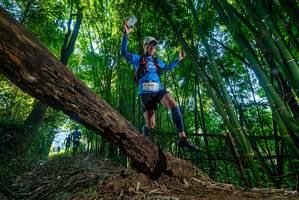 BIB: 2009
                            <button type="button" onclick="openModal(19000119)" class="btn btn-primary btn-sm float-right btn-popup" data-toggle="modal" data-target=".modal-high-quality">
                        <i class="fas fa-shopping-cart"></i> Add to Cart
                    </button>
                                            <button type="button" onclick="isThisMe(19000119, true)" class="btn btn-success btn-sm float-right btn-popup btn-isme hidden" data-toggle="tooltip" data-placement="bottom" title="นี่คือรูปของคุณใช่ไหม คลิกที่นี่เพื่อเอาเข้าอัลบั้ม">
                        <i class="fas fa-plus"></i> Add to album
                    </button>
                    <button type="button" onclick="isThisMe(19000119, false)" class="btn btn-warning btn-sm float-right btn-popup btn-isnotme hidden">
                        <i class="fas fa-ban"></i> Remove from album
                    </button>