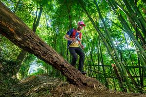 BIB: 
                            <button type="button" onclick="openModal(19071278)" class="btn btn-primary btn-sm float-right btn-popup" data-toggle="modal" data-target=".modal-high-quality">
                        <i class="fas fa-shopping-cart"></i> Add to Cart
                    </button>
                                            <button type="button" onclick="isThisMe(19071278, true)" class="btn btn-success btn-sm float-right btn-popup btn-isme hidden" data-toggle="tooltip" data-placement="bottom" title="นี่คือรูปของคุณใช่ไหม คลิกที่นี่เพื่อเอาเข้าอัลบั้ม">
                        <i class="fas fa-plus"></i> Add to album
                    </button>
                    <button type="button" onclick="isThisMe(19071278, false)" class="btn btn-warning btn-sm float-right btn-popup btn-isnotme hidden">
                        <i class="fas fa-ban"></i> Remove from album
                    </button>