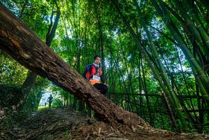 BIB: 
                            <button type="button" onclick="openModal(18995118)" class="btn btn-primary btn-sm float-right btn-popup" data-toggle="modal" data-target=".modal-high-quality">
                        <i class="fas fa-shopping-cart"></i> Add to Cart
                    </button>
                                            <button type="button" onclick="isThisMe(18995118, true)" class="btn btn-success btn-sm float-right btn-popup btn-isme hidden" data-toggle="tooltip" data-placement="bottom" title="นี่คือรูปของคุณใช่ไหม คลิกที่นี่เพื่อเอาเข้าอัลบั้ม">
                        <i class="fas fa-plus"></i> Add to album
                    </button>
                    <button type="button" onclick="isThisMe(18995118, false)" class="btn btn-warning btn-sm float-right btn-popup btn-isnotme hidden">
                        <i class="fas fa-ban"></i> Remove from album
                    </button>