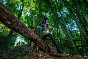 BIB: 
                            <button type="button" onclick="openModal(18998292)" class="btn btn-primary btn-sm float-right btn-popup" data-toggle="modal" data-target=".modal-high-quality">
                        <i class="fas fa-shopping-cart"></i> Add to Cart
                    </button>
                                            <button type="button" onclick="isThisMe(18998292, true)" class="btn btn-success btn-sm float-right btn-popup btn-isme hidden" data-toggle="tooltip" data-placement="bottom" title="นี่คือรูปของคุณใช่ไหม คลิกที่นี่เพื่อเอาเข้าอัลบั้ม">
                        <i class="fas fa-plus"></i> Add to album
                    </button>
                    <button type="button" onclick="isThisMe(18998292, false)" class="btn btn-warning btn-sm float-right btn-popup btn-isnotme hidden">
                        <i class="fas fa-ban"></i> Remove from album
                    </button>