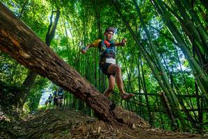 BIB: 
                            <button type="button" onclick="openModal(19059059)" class="btn btn-primary btn-sm float-right btn-popup" data-toggle="modal" data-target=".modal-high-quality">
                        <i class="fas fa-shopping-cart"></i> Add to Cart
                    </button>
                                            <button type="button" onclick="isThisMe(19059059, true)" class="btn btn-success btn-sm float-right btn-popup btn-isme hidden" data-toggle="tooltip" data-placement="bottom" title="นี่คือรูปของคุณใช่ไหม คลิกที่นี่เพื่อเอาเข้าอัลบั้ม">
                        <i class="fas fa-plus"></i> Add to album
                    </button>
                    <button type="button" onclick="isThisMe(19059059, false)" class="btn btn-warning btn-sm float-right btn-popup btn-isnotme hidden">
                        <i class="fas fa-ban"></i> Remove from album
                    </button>