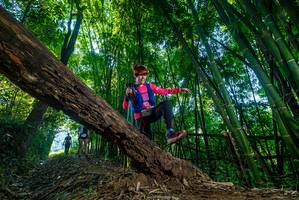 BIB: 
                            <button type="button" onclick="openModal(18998116)" class="btn btn-primary btn-sm float-right btn-popup" data-toggle="modal" data-target=".modal-high-quality">
                        <i class="fas fa-shopping-cart"></i> Add to Cart
                    </button>
                                            <button type="button" onclick="isThisMe(18998116, true)" class="btn btn-success btn-sm float-right btn-popup btn-isme hidden" data-toggle="tooltip" data-placement="bottom" title="นี่คือรูปของคุณใช่ไหม คลิกที่นี่เพื่อเอาเข้าอัลบั้ม">
                        <i class="fas fa-plus"></i> Add to album
                    </button>
                    <button type="button" onclick="isThisMe(18998116, false)" class="btn btn-warning btn-sm float-right btn-popup btn-isnotme hidden">
                        <i class="fas fa-ban"></i> Remove from album
                    </button>