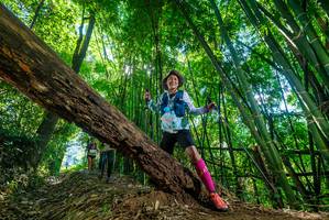 BIB: 
                            <button type="button" onclick="openModal(19062868)" class="btn btn-primary btn-sm float-right btn-popup" data-toggle="modal" data-target=".modal-high-quality">
                        <i class="fas fa-shopping-cart"></i> Add to Cart
                    </button>
                                            <button type="button" onclick="isThisMe(19062868, true)" class="btn btn-success btn-sm float-right btn-popup btn-isme hidden" data-toggle="tooltip" data-placement="bottom" title="นี่คือรูปของคุณใช่ไหม คลิกที่นี่เพื่อเอาเข้าอัลบั้ม">
                        <i class="fas fa-plus"></i> Add to album
                    </button>
                    <button type="button" onclick="isThisMe(19062868, false)" class="btn btn-warning btn-sm float-right btn-popup btn-isnotme hidden">
                        <i class="fas fa-ban"></i> Remove from album
                    </button>