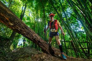 BIB: 
                            <button type="button" onclick="openModal(19057183)" class="btn btn-primary btn-sm float-right btn-popup" data-toggle="modal" data-target=".modal-high-quality">
                        <i class="fas fa-shopping-cart"></i> Add to Cart
                    </button>
                                            <button type="button" onclick="isThisMe(19057183, true)" class="btn btn-success btn-sm float-right btn-popup btn-isme hidden" data-toggle="tooltip" data-placement="bottom" title="นี่คือรูปของคุณใช่ไหม คลิกที่นี่เพื่อเอาเข้าอัลบั้ม">
                        <i class="fas fa-plus"></i> Add to album
                    </button>
                    <button type="button" onclick="isThisMe(19057183, false)" class="btn btn-warning btn-sm float-right btn-popup btn-isnotme hidden">
                        <i class="fas fa-ban"></i> Remove from album
                    </button>