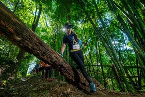 BIB: 
                            <button type="button" onclick="openModal(19064386)" class="btn btn-primary btn-sm float-right btn-popup" data-toggle="modal" data-target=".modal-high-quality">
                        <i class="fas fa-shopping-cart"></i> Add to Cart
                    </button>
                                            <button type="button" onclick="isThisMe(19064386, true)" class="btn btn-success btn-sm float-right btn-popup btn-isme hidden" data-toggle="tooltip" data-placement="bottom" title="นี่คือรูปของคุณใช่ไหม คลิกที่นี่เพื่อเอาเข้าอัลบั้ม">
                        <i class="fas fa-plus"></i> Add to album
                    </button>
                    <button type="button" onclick="isThisMe(19064386, false)" class="btn btn-warning btn-sm float-right btn-popup btn-isnotme hidden">
                        <i class="fas fa-ban"></i> Remove from album
                    </button>