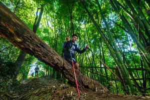 BIB: 
                            <button type="button" onclick="openModal(19060944)" class="btn btn-primary btn-sm float-right btn-popup" data-toggle="modal" data-target=".modal-high-quality">
                        <i class="fas fa-shopping-cart"></i> Add to Cart
                    </button>
                                            <button type="button" onclick="isThisMe(19060944, true)" class="btn btn-success btn-sm float-right btn-popup btn-isme hidden" data-toggle="tooltip" data-placement="bottom" title="นี่คือรูปของคุณใช่ไหม คลิกที่นี่เพื่อเอาเข้าอัลบั้ม">
                        <i class="fas fa-plus"></i> Add to album
                    </button>
                    <button type="button" onclick="isThisMe(19060944, false)" class="btn btn-warning btn-sm float-right btn-popup btn-isnotme hidden">
                        <i class="fas fa-ban"></i> Remove from album
                    </button>