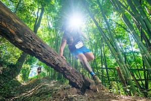 BIB: 2779
                            <button type="button" onclick="openModal(19071660)" class="btn btn-primary btn-sm float-right btn-popup" data-toggle="modal" data-target=".modal-high-quality">
                        <i class="fas fa-shopping-cart"></i> Add to Cart
                    </button>
                                            <button type="button" onclick="isThisMe(19071660, true)" class="btn btn-success btn-sm float-right btn-popup btn-isme hidden" data-toggle="tooltip" data-placement="bottom" title="นี่คือรูปของคุณใช่ไหม คลิกที่นี่เพื่อเอาเข้าอัลบั้ม">
                        <i class="fas fa-plus"></i> Add to album
                    </button>
                    <button type="button" onclick="isThisMe(19071660, false)" class="btn btn-warning btn-sm float-right btn-popup btn-isnotme hidden">
                        <i class="fas fa-ban"></i> Remove from album
                    </button>