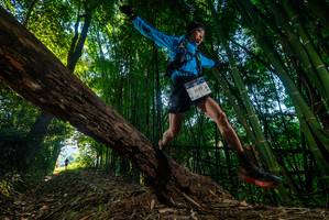 BIB: 2021
                            <button type="button" onclick="openModal(18988183)" class="btn btn-primary btn-sm float-right btn-popup" data-toggle="modal" data-target=".modal-high-quality">
                        <i class="fas fa-shopping-cart"></i> Add to Cart
                    </button>
                                            <button type="button" onclick="isThisMe(18988183, true)" class="btn btn-success btn-sm float-right btn-popup btn-isme hidden" data-toggle="tooltip" data-placement="bottom" title="นี่คือรูปของคุณใช่ไหม คลิกที่นี่เพื่อเอาเข้าอัลบั้ม">
                        <i class="fas fa-plus"></i> Add to album
                    </button>
                    <button type="button" onclick="isThisMe(18988183, false)" class="btn btn-warning btn-sm float-right btn-popup btn-isnotme hidden">
                        <i class="fas fa-ban"></i> Remove from album
                    </button>