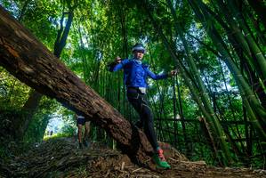 BIB: 
                            <button type="button" onclick="openModal(18994886)" class="btn btn-primary btn-sm float-right btn-popup" data-toggle="modal" data-target=".modal-high-quality">
                        <i class="fas fa-shopping-cart"></i> Add to Cart
                    </button>
                                            <button type="button" onclick="isThisMe(18994886, true)" class="btn btn-success btn-sm float-right btn-popup btn-isme hidden" data-toggle="tooltip" data-placement="bottom" title="นี่คือรูปของคุณใช่ไหม คลิกที่นี่เพื่อเอาเข้าอัลบั้ม">
                        <i class="fas fa-plus"></i> Add to album
                    </button>
                    <button type="button" onclick="isThisMe(18994886, false)" class="btn btn-warning btn-sm float-right btn-popup btn-isnotme hidden">
                        <i class="fas fa-ban"></i> Remove from album
                    </button>