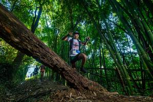 BIB: 121531
                            <button type="button" onclick="openModal(18992707)" class="btn btn-primary btn-sm float-right btn-popup" data-toggle="modal" data-target=".modal-high-quality">
                        <i class="fas fa-shopping-cart"></i> Add to Cart
                    </button>
                                            <button type="button" onclick="isThisMe(18992707, true)" class="btn btn-success btn-sm float-right btn-popup btn-isme hidden" data-toggle="tooltip" data-placement="bottom" title="นี่คือรูปของคุณใช่ไหม คลิกที่นี่เพื่อเอาเข้าอัลบั้ม">
                        <i class="fas fa-plus"></i> Add to album
                    </button>
                    <button type="button" onclick="isThisMe(18992707, false)" class="btn btn-warning btn-sm float-right btn-popup btn-isnotme hidden">
                        <i class="fas fa-ban"></i> Remove from album
                    </button>