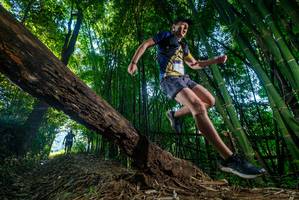 BIB: 
                            <button type="button" onclick="openModal(18993168)" class="btn btn-primary btn-sm float-right btn-popup" data-toggle="modal" data-target=".modal-high-quality">
                        <i class="fas fa-shopping-cart"></i> Add to Cart
                    </button>
                                            <button type="button" onclick="isThisMe(18993168, true)" class="btn btn-success btn-sm float-right btn-popup btn-isme hidden" data-toggle="tooltip" data-placement="bottom" title="นี่คือรูปของคุณใช่ไหม คลิกที่นี่เพื่อเอาเข้าอัลบั้ม">
                        <i class="fas fa-plus"></i> Add to album
                    </button>
                    <button type="button" onclick="isThisMe(18993168, false)" class="btn btn-warning btn-sm float-right btn-popup btn-isnotme hidden">
                        <i class="fas fa-ban"></i> Remove from album
                    </button>