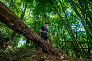 BIB: 
                            <button type="button" onclick="openModal(19068547)" class="btn btn-primary btn-sm float-right btn-popup" data-toggle="modal" data-target=".modal-high-quality">
                        <i class="fas fa-shopping-cart"></i> Add to Cart
                    </button>
                                            <button type="button" onclick="isThisMe(19068547, true)" class="btn btn-success btn-sm float-right btn-popup btn-isme hidden" data-toggle="tooltip" data-placement="bottom" title="นี่คือรูปของคุณใช่ไหม คลิกที่นี่เพื่อเอาเข้าอัลบั้ม">
                        <i class="fas fa-plus"></i> Add to album
                    </button>
                    <button type="button" onclick="isThisMe(19068547, false)" class="btn btn-warning btn-sm float-right btn-popup btn-isnotme hidden">
                        <i class="fas fa-ban"></i> Remove from album
                    </button>