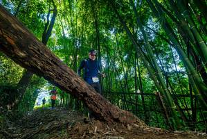 BIB: 
                            <button type="button" onclick="openModal(18994980)" class="btn btn-primary btn-sm float-right btn-popup" data-toggle="modal" data-target=".modal-high-quality">
                        <i class="fas fa-shopping-cart"></i> Add to Cart
                    </button>
                                            <button type="button" onclick="isThisMe(18994980, true)" class="btn btn-success btn-sm float-right btn-popup btn-isme hidden" data-toggle="tooltip" data-placement="bottom" title="นี่คือรูปของคุณใช่ไหม คลิกที่นี่เพื่อเอาเข้าอัลบั้ม">
                        <i class="fas fa-plus"></i> Add to album
                    </button>
                    <button type="button" onclick="isThisMe(18994980, false)" class="btn btn-warning btn-sm float-right btn-popup btn-isnotme hidden">
                        <i class="fas fa-ban"></i> Remove from album
                    </button>