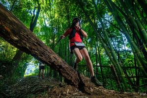 BIB: 
                            <button type="button" onclick="openModal(18992020)" class="btn btn-primary btn-sm float-right btn-popup" data-toggle="modal" data-target=".modal-high-quality">
                        <i class="fas fa-shopping-cart"></i> Add to Cart
                    </button>
                                            <button type="button" onclick="isThisMe(18992020, true)" class="btn btn-success btn-sm float-right btn-popup btn-isme hidden" data-toggle="tooltip" data-placement="bottom" title="นี่คือรูปของคุณใช่ไหม คลิกที่นี่เพื่อเอาเข้าอัลบั้ม">
                        <i class="fas fa-plus"></i> Add to album
                    </button>
                    <button type="button" onclick="isThisMe(18992020, false)" class="btn btn-warning btn-sm float-right btn-popup btn-isnotme hidden">
                        <i class="fas fa-ban"></i> Remove from album
                    </button>