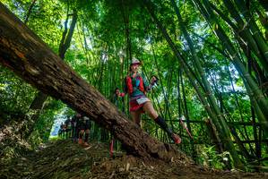 BIB: 
                            <button type="button" onclick="openModal(19065741)" class="btn btn-primary btn-sm float-right btn-popup" data-toggle="modal" data-target=".modal-high-quality">
                        <i class="fas fa-shopping-cart"></i> Add to Cart
                    </button>
                                            <button type="button" onclick="isThisMe(19065741, true)" class="btn btn-success btn-sm float-right btn-popup btn-isme hidden" data-toggle="tooltip" data-placement="bottom" title="นี่คือรูปของคุณใช่ไหม คลิกที่นี่เพื่อเอาเข้าอัลบั้ม">
                        <i class="fas fa-plus"></i> Add to album
                    </button>
                    <button type="button" onclick="isThisMe(19065741, false)" class="btn btn-warning btn-sm float-right btn-popup btn-isnotme hidden">
                        <i class="fas fa-ban"></i> Remove from album
                    </button>