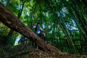 BIB: 
                            <button type="button" onclick="openModal(18990323)" class="btn btn-primary btn-sm float-right btn-popup" data-toggle="modal" data-target=".modal-high-quality">
                        <i class="fas fa-shopping-cart"></i> Add to Cart
                    </button>
                                            <button type="button" onclick="isThisMe(18990323, true)" class="btn btn-success btn-sm float-right btn-popup btn-isme hidden" data-toggle="tooltip" data-placement="bottom" title="นี่คือรูปของคุณใช่ไหม คลิกที่นี่เพื่อเอาเข้าอัลบั้ม">
                        <i class="fas fa-plus"></i> Add to album
                    </button>
                    <button type="button" onclick="isThisMe(18990323, false)" class="btn btn-warning btn-sm float-right btn-popup btn-isnotme hidden">
                        <i class="fas fa-ban"></i> Remove from album
                    </button>