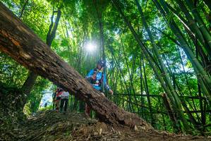 BIB: 
                            <button type="button" onclick="openModal(19056941)" class="btn btn-primary btn-sm float-right btn-popup" data-toggle="modal" data-target=".modal-high-quality">
                        <i class="fas fa-shopping-cart"></i> Add to Cart
                    </button>
                                            <button type="button" onclick="isThisMe(19056941, true)" class="btn btn-success btn-sm float-right btn-popup btn-isme hidden" data-toggle="tooltip" data-placement="bottom" title="นี่คือรูปของคุณใช่ไหม คลิกที่นี่เพื่อเอาเข้าอัลบั้ม">
                        <i class="fas fa-plus"></i> Add to album
                    </button>
                    <button type="button" onclick="isThisMe(19056941, false)" class="btn btn-warning btn-sm float-right btn-popup btn-isnotme hidden">
                        <i class="fas fa-ban"></i> Remove from album
                    </button>