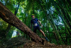 BIB: 1970
                            <button type="button" onclick="openModal(18988258)" class="btn btn-primary btn-sm float-right btn-popup" data-toggle="modal" data-target=".modal-high-quality">
                        <i class="fas fa-shopping-cart"></i> Add to Cart
                    </button>
                                            <button type="button" onclick="isThisMe(18988258, true)" class="btn btn-success btn-sm float-right btn-popup btn-isme hidden" data-toggle="tooltip" data-placement="bottom" title="นี่คือรูปของคุณใช่ไหม คลิกที่นี่เพื่อเอาเข้าอัลบั้ม">
                        <i class="fas fa-plus"></i> Add to album
                    </button>
                    <button type="button" onclick="isThisMe(18988258, false)" class="btn btn-warning btn-sm float-right btn-popup btn-isnotme hidden">
                        <i class="fas fa-ban"></i> Remove from album
                    </button>