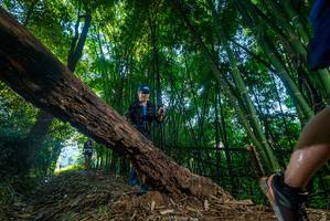 BIB: 
                            <button type="button" onclick="openModal(18995885)" class="btn btn-primary btn-sm float-right btn-popup" data-toggle="modal" data-target=".modal-high-quality">
                        <i class="fas fa-shopping-cart"></i> Add to Cart
                    </button>
                                            <button type="button" onclick="isThisMe(18995885, true)" class="btn btn-success btn-sm float-right btn-popup btn-isme hidden" data-toggle="tooltip" data-placement="bottom" title="นี่คือรูปของคุณใช่ไหม คลิกที่นี่เพื่อเอาเข้าอัลบั้ม">
                        <i class="fas fa-plus"></i> Add to album
                    </button>
                    <button type="button" onclick="isThisMe(18995885, false)" class="btn btn-warning btn-sm float-right btn-popup btn-isnotme hidden">
                        <i class="fas fa-ban"></i> Remove from album
                    </button>