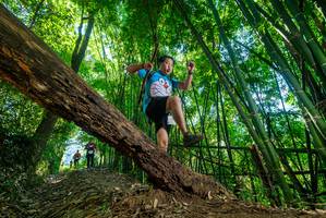 BIB: 
                            <button type="button" onclick="openModal(19061366)" class="btn btn-primary btn-sm float-right btn-popup" data-toggle="modal" data-target=".modal-high-quality">
                        <i class="fas fa-shopping-cart"></i> Add to Cart
                    </button>
                                            <button type="button" onclick="isThisMe(19061366, true)" class="btn btn-success btn-sm float-right btn-popup btn-isme hidden" data-toggle="tooltip" data-placement="bottom" title="นี่คือรูปของคุณใช่ไหม คลิกที่นี่เพื่อเอาเข้าอัลบั้ม">
                        <i class="fas fa-plus"></i> Add to album
                    </button>
                    <button type="button" onclick="isThisMe(19061366, false)" class="btn btn-warning btn-sm float-right btn-popup btn-isnotme hidden">
                        <i class="fas fa-ban"></i> Remove from album
                    </button>