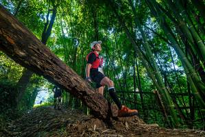 BIB: 
                            <button type="button" onclick="openModal(18995669)" class="btn btn-primary btn-sm float-right btn-popup" data-toggle="modal" data-target=".modal-high-quality">
                        <i class="fas fa-shopping-cart"></i> Add to Cart
                    </button>
                                            <button type="button" onclick="isThisMe(18995669, true)" class="btn btn-success btn-sm float-right btn-popup btn-isme hidden" data-toggle="tooltip" data-placement="bottom" title="นี่คือรูปของคุณใช่ไหม คลิกที่นี่เพื่อเอาเข้าอัลบั้ม">
                        <i class="fas fa-plus"></i> Add to album
                    </button>
                    <button type="button" onclick="isThisMe(18995669, false)" class="btn btn-warning btn-sm float-right btn-popup btn-isnotme hidden">
                        <i class="fas fa-ban"></i> Remove from album
                    </button>