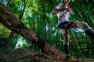 BIB: 
                            <button type="button" onclick="openModal(18998255)" class="btn btn-primary btn-sm float-right btn-popup" data-toggle="modal" data-target=".modal-high-quality">
                        <i class="fas fa-shopping-cart"></i> Add to Cart
                    </button>
                                            <button type="button" onclick="isThisMe(18998255, true)" class="btn btn-success btn-sm float-right btn-popup btn-isme hidden" data-toggle="tooltip" data-placement="bottom" title="นี่คือรูปของคุณใช่ไหม คลิกที่นี่เพื่อเอาเข้าอัลบั้ม">
                        <i class="fas fa-plus"></i> Add to album
                    </button>
                    <button type="button" onclick="isThisMe(18998255, false)" class="btn btn-warning btn-sm float-right btn-popup btn-isnotme hidden">
                        <i class="fas fa-ban"></i> Remove from album
                    </button>