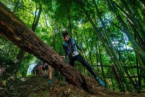 BIB: 
                            <button type="button" onclick="openModal(19064518)" class="btn btn-primary btn-sm float-right btn-popup" data-toggle="modal" data-target=".modal-high-quality">
                        <i class="fas fa-shopping-cart"></i> Add to Cart
                    </button>
                                            <button type="button" onclick="isThisMe(19064518, true)" class="btn btn-success btn-sm float-right btn-popup btn-isme hidden" data-toggle="tooltip" data-placement="bottom" title="นี่คือรูปของคุณใช่ไหม คลิกที่นี่เพื่อเอาเข้าอัลบั้ม">
                        <i class="fas fa-plus"></i> Add to album
                    </button>
                    <button type="button" onclick="isThisMe(19064518, false)" class="btn btn-warning btn-sm float-right btn-popup btn-isnotme hidden">
                        <i class="fas fa-ban"></i> Remove from album
                    </button>