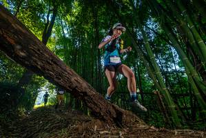 BIB: 2113
                            <button type="button" onclick="openModal(18990112)" class="btn btn-primary btn-sm float-right btn-popup" data-toggle="modal" data-target=".modal-high-quality">
                        <i class="fas fa-shopping-cart"></i> Add to Cart
                    </button>
                                            <button type="button" onclick="isThisMe(18990112, true)" class="btn btn-success btn-sm float-right btn-popup btn-isme hidden" data-toggle="tooltip" data-placement="bottom" title="นี่คือรูปของคุณใช่ไหม คลิกที่นี่เพื่อเอาเข้าอัลบั้ม">
                        <i class="fas fa-plus"></i> Add to album
                    </button>
                    <button type="button" onclick="isThisMe(18990112, false)" class="btn btn-warning btn-sm float-right btn-popup btn-isnotme hidden">
                        <i class="fas fa-ban"></i> Remove from album
                    </button>