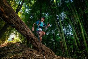 BIB: 
                            <button type="button" onclick="openModal(18986246)" class="btn btn-primary btn-sm float-right btn-popup" data-toggle="modal" data-target=".modal-high-quality">
                        <i class="fas fa-shopping-cart"></i> Add to Cart
                    </button>
                                            <button type="button" onclick="isThisMe(18986246, true)" class="btn btn-success btn-sm float-right btn-popup btn-isme hidden" data-toggle="tooltip" data-placement="bottom" title="นี่คือรูปของคุณใช่ไหม คลิกที่นี่เพื่อเอาเข้าอัลบั้ม">
                        <i class="fas fa-plus"></i> Add to album
                    </button>
                    <button type="button" onclick="isThisMe(18986246, false)" class="btn btn-warning btn-sm float-right btn-popup btn-isnotme hidden">
                        <i class="fas fa-ban"></i> Remove from album
                    </button>