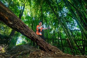 BIB: 
                            <button type="button" onclick="openModal(18998857)" class="btn btn-primary btn-sm float-right btn-popup" data-toggle="modal" data-target=".modal-high-quality">
                        <i class="fas fa-shopping-cart"></i> Add to Cart
                    </button>
                                            <button type="button" onclick="isThisMe(18998857, true)" class="btn btn-success btn-sm float-right btn-popup btn-isme hidden" data-toggle="tooltip" data-placement="bottom" title="นี่คือรูปของคุณใช่ไหม คลิกที่นี่เพื่อเอาเข้าอัลบั้ม">
                        <i class="fas fa-plus"></i> Add to album
                    </button>
                    <button type="button" onclick="isThisMe(18998857, false)" class="btn btn-warning btn-sm float-right btn-popup btn-isnotme hidden">
                        <i class="fas fa-ban"></i> Remove from album
                    </button>