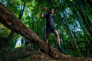 BIB: 
                            <button type="button" onclick="openModal(18990528)" class="btn btn-primary btn-sm float-right btn-popup" data-toggle="modal" data-target=".modal-high-quality">
                        <i class="fas fa-shopping-cart"></i> Add to Cart
                    </button>
                                            <button type="button" onclick="isThisMe(18990528, true)" class="btn btn-success btn-sm float-right btn-popup btn-isme hidden" data-toggle="tooltip" data-placement="bottom" title="นี่คือรูปของคุณใช่ไหม คลิกที่นี่เพื่อเอาเข้าอัลบั้ม">
                        <i class="fas fa-plus"></i> Add to album
                    </button>
                    <button type="button" onclick="isThisMe(18990528, false)" class="btn btn-warning btn-sm float-right btn-popup btn-isnotme hidden">
                        <i class="fas fa-ban"></i> Remove from album
                    </button>