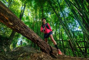 BIB: 
                            <button type="button" onclick="openModal(19056123)" class="btn btn-primary btn-sm float-right btn-popup" data-toggle="modal" data-target=".modal-high-quality">
                        <i class="fas fa-shopping-cart"></i> Add to Cart
                    </button>
                                            <button type="button" onclick="isThisMe(19056123, true)" class="btn btn-success btn-sm float-right btn-popup btn-isme hidden" data-toggle="tooltip" data-placement="bottom" title="นี่คือรูปของคุณใช่ไหม คลิกที่นี่เพื่อเอาเข้าอัลบั้ม">
                        <i class="fas fa-plus"></i> Add to album
                    </button>
                    <button type="button" onclick="isThisMe(19056123, false)" class="btn btn-warning btn-sm float-right btn-popup btn-isnotme hidden">
                        <i class="fas fa-ban"></i> Remove from album
                    </button>