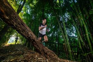 BIB: 
                            <button type="button" onclick="openModal(18986566)" class="btn btn-primary btn-sm float-right btn-popup" data-toggle="modal" data-target=".modal-high-quality">
                        <i class="fas fa-shopping-cart"></i> Add to Cart
                    </button>
                                            <button type="button" onclick="isThisMe(18986566, true)" class="btn btn-success btn-sm float-right btn-popup btn-isme hidden" data-toggle="tooltip" data-placement="bottom" title="นี่คือรูปของคุณใช่ไหม คลิกที่นี่เพื่อเอาเข้าอัลบั้ม">
                        <i class="fas fa-plus"></i> Add to album
                    </button>
                    <button type="button" onclick="isThisMe(18986566, false)" class="btn btn-warning btn-sm float-right btn-popup btn-isnotme hidden">
                        <i class="fas fa-ban"></i> Remove from album
                    </button>