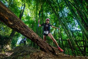 BIB: 
                            <button type="button" onclick="openModal(19046519)" class="btn btn-primary btn-sm float-right btn-popup" data-toggle="modal" data-target=".modal-high-quality">
                        <i class="fas fa-shopping-cart"></i> Add to Cart
                    </button>
                                            <button type="button" onclick="isThisMe(19046519, true)" class="btn btn-success btn-sm float-right btn-popup btn-isme hidden" data-toggle="tooltip" data-placement="bottom" title="นี่คือรูปของคุณใช่ไหม คลิกที่นี่เพื่อเอาเข้าอัลบั้ม">
                        <i class="fas fa-plus"></i> Add to album
                    </button>
                    <button type="button" onclick="isThisMe(19046519, false)" class="btn btn-warning btn-sm float-right btn-popup btn-isnotme hidden">
                        <i class="fas fa-ban"></i> Remove from album
                    </button>