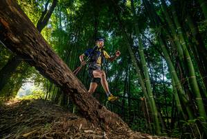 BIB: 
                            <button type="button" onclick="openModal(18986411)" class="btn btn-primary btn-sm float-right btn-popup" data-toggle="modal" data-target=".modal-high-quality">
                        <i class="fas fa-shopping-cart"></i> Add to Cart
                    </button>
                                            <button type="button" onclick="isThisMe(18986411, true)" class="btn btn-success btn-sm float-right btn-popup btn-isme hidden" data-toggle="tooltip" data-placement="bottom" title="นี่คือรูปของคุณใช่ไหม คลิกที่นี่เพื่อเอาเข้าอัลบั้ม">
                        <i class="fas fa-plus"></i> Add to album
                    </button>
                    <button type="button" onclick="isThisMe(18986411, false)" class="btn btn-warning btn-sm float-right btn-popup btn-isnotme hidden">
                        <i class="fas fa-ban"></i> Remove from album
                    </button>