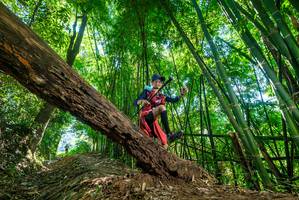 BIB: 
                            <button type="button" onclick="openModal(19070021)" class="btn btn-primary btn-sm float-right btn-popup" data-toggle="modal" data-target=".modal-high-quality">
                        <i class="fas fa-shopping-cart"></i> Add to Cart
                    </button>
                                            <button type="button" onclick="isThisMe(19070021, true)" class="btn btn-success btn-sm float-right btn-popup btn-isme hidden" data-toggle="tooltip" data-placement="bottom" title="นี่คือรูปของคุณใช่ไหม คลิกที่นี่เพื่อเอาเข้าอัลบั้ม">
                        <i class="fas fa-plus"></i> Add to album
                    </button>
                    <button type="button" onclick="isThisMe(19070021, false)" class="btn btn-warning btn-sm float-right btn-popup btn-isnotme hidden">
                        <i class="fas fa-ban"></i> Remove from album
                    </button>