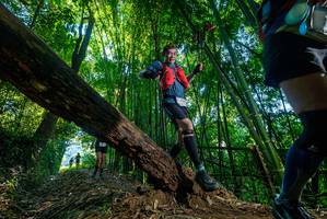 BIB: 
                            <button type="button" onclick="openModal(18997045)" class="btn btn-primary btn-sm float-right btn-popup" data-toggle="modal" data-target=".modal-high-quality">
                        <i class="fas fa-shopping-cart"></i> Add to Cart
                    </button>
                                            <button type="button" onclick="isThisMe(18997045, true)" class="btn btn-success btn-sm float-right btn-popup btn-isme hidden" data-toggle="tooltip" data-placement="bottom" title="นี่คือรูปของคุณใช่ไหม คลิกที่นี่เพื่อเอาเข้าอัลบั้ม">
                        <i class="fas fa-plus"></i> Add to album
                    </button>
                    <button type="button" onclick="isThisMe(18997045, false)" class="btn btn-warning btn-sm float-right btn-popup btn-isnotme hidden">
                        <i class="fas fa-ban"></i> Remove from album
                    </button>