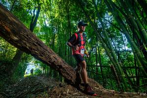 BIB: 
                            <button type="button" onclick="openModal(18999271)" class="btn btn-primary btn-sm float-right btn-popup" data-toggle="modal" data-target=".modal-high-quality">
                        <i class="fas fa-shopping-cart"></i> Add to Cart
                    </button>
                                            <button type="button" onclick="isThisMe(18999271, true)" class="btn btn-success btn-sm float-right btn-popup btn-isme hidden" data-toggle="tooltip" data-placement="bottom" title="นี่คือรูปของคุณใช่ไหม คลิกที่นี่เพื่อเอาเข้าอัลบั้ม">
                        <i class="fas fa-plus"></i> Add to album
                    </button>
                    <button type="button" onclick="isThisMe(18999271, false)" class="btn btn-warning btn-sm float-right btn-popup btn-isnotme hidden">
                        <i class="fas fa-ban"></i> Remove from album
                    </button>