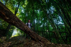 BIB: 
                            <button type="button" onclick="openModal(18988688)" class="btn btn-primary btn-sm float-right btn-popup" data-toggle="modal" data-target=".modal-high-quality">
                        <i class="fas fa-shopping-cart"></i> Add to Cart
                    </button>
                                            <button type="button" onclick="isThisMe(18988688, true)" class="btn btn-success btn-sm float-right btn-popup btn-isme hidden" data-toggle="tooltip" data-placement="bottom" title="นี่คือรูปของคุณใช่ไหม คลิกที่นี่เพื่อเอาเข้าอัลบั้ม">
                        <i class="fas fa-plus"></i> Add to album
                    </button>
                    <button type="button" onclick="isThisMe(18988688, false)" class="btn btn-warning btn-sm float-right btn-popup btn-isnotme hidden">
                        <i class="fas fa-ban"></i> Remove from album
                    </button>