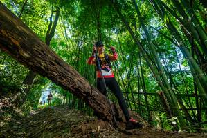 BIB: 
                            <button type="button" onclick="openModal(19065550)" class="btn btn-primary btn-sm float-right btn-popup" data-toggle="modal" data-target=".modal-high-quality">
                        <i class="fas fa-shopping-cart"></i> Add to Cart
                    </button>
                                            <button type="button" onclick="isThisMe(19065550, true)" class="btn btn-success btn-sm float-right btn-popup btn-isme hidden" data-toggle="tooltip" data-placement="bottom" title="นี่คือรูปของคุณใช่ไหม คลิกที่นี่เพื่อเอาเข้าอัลบั้ม">
                        <i class="fas fa-plus"></i> Add to album
                    </button>
                    <button type="button" onclick="isThisMe(19065550, false)" class="btn btn-warning btn-sm float-right btn-popup btn-isnotme hidden">
                        <i class="fas fa-ban"></i> Remove from album
                    </button>