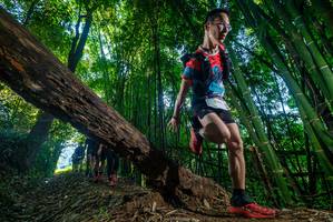 BIB: 2103, 
                            <button type="button" onclick="openModal(18990404)" class="btn btn-primary btn-sm float-right btn-popup" data-toggle="modal" data-target=".modal-high-quality">
                        <i class="fas fa-shopping-cart"></i> Add to Cart
                    </button>
                                            <button type="button" onclick="isThisMe(18990404, true)" class="btn btn-success btn-sm float-right btn-popup btn-isme hidden" data-toggle="tooltip" data-placement="bottom" title="นี่คือรูปของคุณใช่ไหม คลิกที่นี่เพื่อเอาเข้าอัลบั้ม">
                        <i class="fas fa-plus"></i> Add to album
                    </button>
                    <button type="button" onclick="isThisMe(18990404, false)" class="btn btn-warning btn-sm float-right btn-popup btn-isnotme hidden">
                        <i class="fas fa-ban"></i> Remove from album
                    </button>