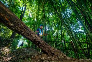 BIB: 
                            <button type="button" onclick="openModal(19001766)" class="btn btn-primary btn-sm float-right btn-popup" data-toggle="modal" data-target=".modal-high-quality">
                        <i class="fas fa-shopping-cart"></i> Add to Cart
                    </button>
                                            <button type="button" onclick="isThisMe(19001766, true)" class="btn btn-success btn-sm float-right btn-popup btn-isme hidden" data-toggle="tooltip" data-placement="bottom" title="นี่คือรูปของคุณใช่ไหม คลิกที่นี่เพื่อเอาเข้าอัลบั้ม">
                        <i class="fas fa-plus"></i> Add to album
                    </button>
                    <button type="button" onclick="isThisMe(19001766, false)" class="btn btn-warning btn-sm float-right btn-popup btn-isnotme hidden">
                        <i class="fas fa-ban"></i> Remove from album
                    </button>