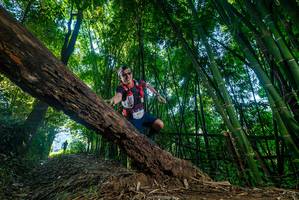 BIB: 201, 
                            <button type="button" onclick="openModal(18989441)" class="btn btn-primary btn-sm float-right btn-popup" data-toggle="modal" data-target=".modal-high-quality">
                        <i class="fas fa-shopping-cart"></i> Add to Cart
                    </button>
                                            <button type="button" onclick="isThisMe(18989441, true)" class="btn btn-success btn-sm float-right btn-popup btn-isme hidden" data-toggle="tooltip" data-placement="bottom" title="นี่คือรูปของคุณใช่ไหม คลิกที่นี่เพื่อเอาเข้าอัลบั้ม">
                        <i class="fas fa-plus"></i> Add to album
                    </button>
                    <button type="button" onclick="isThisMe(18989441, false)" class="btn btn-warning btn-sm float-right btn-popup btn-isnotme hidden">
                        <i class="fas fa-ban"></i> Remove from album
                    </button>