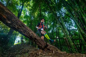 BIB: 
                            <button type="button" onclick="openModal(18998336)" class="btn btn-primary btn-sm float-right btn-popup" data-toggle="modal" data-target=".modal-high-quality">
                        <i class="fas fa-shopping-cart"></i> Add to Cart
                    </button>
                                            <button type="button" onclick="isThisMe(18998336, true)" class="btn btn-success btn-sm float-right btn-popup btn-isme hidden" data-toggle="tooltip" data-placement="bottom" title="นี่คือรูปของคุณใช่ไหม คลิกที่นี่เพื่อเอาเข้าอัลบั้ม">
                        <i class="fas fa-plus"></i> Add to album
                    </button>
                    <button type="button" onclick="isThisMe(18998336, false)" class="btn btn-warning btn-sm float-right btn-popup btn-isnotme hidden">
                        <i class="fas fa-ban"></i> Remove from album
                    </button>