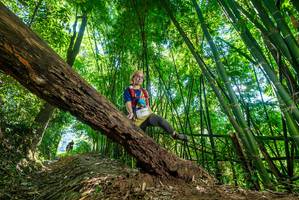 BIB: 
                            <button type="button" onclick="openModal(19070089)" class="btn btn-primary btn-sm float-right btn-popup" data-toggle="modal" data-target=".modal-high-quality">
                        <i class="fas fa-shopping-cart"></i> Add to Cart
                    </button>
                                            <button type="button" onclick="isThisMe(19070089, true)" class="btn btn-success btn-sm float-right btn-popup btn-isme hidden" data-toggle="tooltip" data-placement="bottom" title="นี่คือรูปของคุณใช่ไหม คลิกที่นี่เพื่อเอาเข้าอัลบั้ม">
                        <i class="fas fa-plus"></i> Add to album
                    </button>
                    <button type="button" onclick="isThisMe(19070089, false)" class="btn btn-warning btn-sm float-right btn-popup btn-isnotme hidden">
                        <i class="fas fa-ban"></i> Remove from album
                    </button>