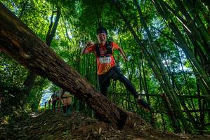 BIB: 
                            <button type="button" onclick="openModal(19064085)" class="btn btn-primary btn-sm float-right btn-popup" data-toggle="modal" data-target=".modal-high-quality">
                        <i class="fas fa-shopping-cart"></i> Add to Cart
                    </button>
                                            <button type="button" onclick="isThisMe(19064085, true)" class="btn btn-success btn-sm float-right btn-popup btn-isme hidden" data-toggle="tooltip" data-placement="bottom" title="นี่คือรูปของคุณใช่ไหม คลิกที่นี่เพื่อเอาเข้าอัลบั้ม">
                        <i class="fas fa-plus"></i> Add to album
                    </button>
                    <button type="button" onclick="isThisMe(19064085, false)" class="btn btn-warning btn-sm float-right btn-popup btn-isnotme hidden">
                        <i class="fas fa-ban"></i> Remove from album
                    </button>