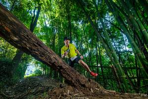 BIB: 
                            <button type="button" onclick="openModal(18998749)" class="btn btn-primary btn-sm float-right btn-popup" data-toggle="modal" data-target=".modal-high-quality">
                        <i class="fas fa-shopping-cart"></i> Add to Cart
                    </button>
                                            <button type="button" onclick="isThisMe(18998749, true)" class="btn btn-success btn-sm float-right btn-popup btn-isme hidden" data-toggle="tooltip" data-placement="bottom" title="นี่คือรูปของคุณใช่ไหม คลิกที่นี่เพื่อเอาเข้าอัลบั้ม">
                        <i class="fas fa-plus"></i> Add to album
                    </button>
                    <button type="button" onclick="isThisMe(18998749, false)" class="btn btn-warning btn-sm float-right btn-popup btn-isnotme hidden">
                        <i class="fas fa-ban"></i> Remove from album
                    </button>