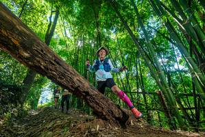 BIB: 
                            <button type="button" onclick="openModal(19062866)" class="btn btn-primary btn-sm float-right btn-popup" data-toggle="modal" data-target=".modal-high-quality">
                        <i class="fas fa-shopping-cart"></i> Add to Cart
                    </button>
                                            <button type="button" onclick="isThisMe(19062866, true)" class="btn btn-success btn-sm float-right btn-popup btn-isme hidden" data-toggle="tooltip" data-placement="bottom" title="นี่คือรูปของคุณใช่ไหม คลิกที่นี่เพื่อเอาเข้าอัลบั้ม">
                        <i class="fas fa-plus"></i> Add to album
                    </button>
                    <button type="button" onclick="isThisMe(19062866, false)" class="btn btn-warning btn-sm float-right btn-popup btn-isnotme hidden">
                        <i class="fas fa-ban"></i> Remove from album
                    </button>